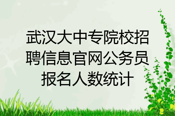 武汉大中专院校招聘信息官网公务员报名人数统计