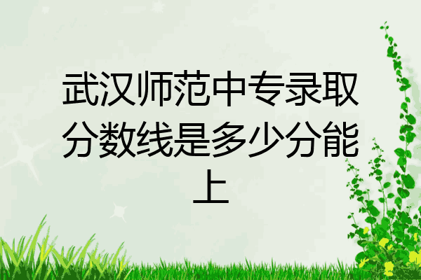 武汉师范中专录取分数线是多少分能上
