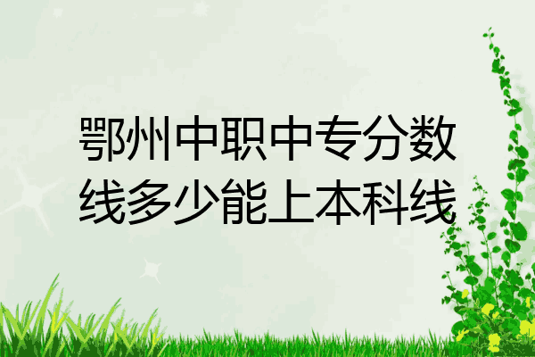 鄂州中职中专分数线多少能上本科线