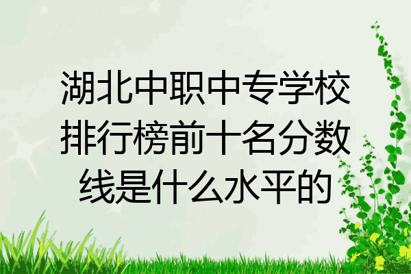 湖北中职中专学校排行榜前十名分数线是什么水平的