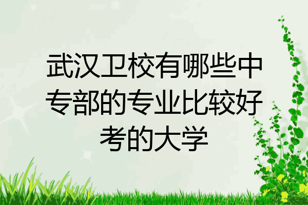 武汉卫校有哪些中专部的专业比较好考的大学
