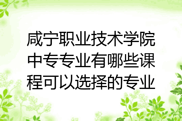 咸宁职业技术学院中专专业有哪些课程可以选择的专业