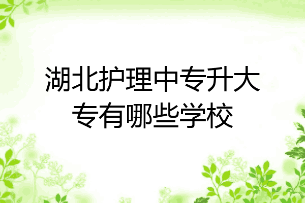 湖北护理中专升大专有哪些学校
