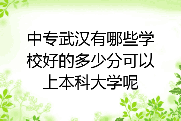 中专武汉有哪些学校好的多少分可以上本科大学呢
