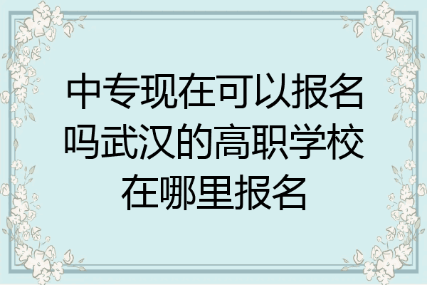 中专现在可以报名吗武汉的高职学校在哪里报名