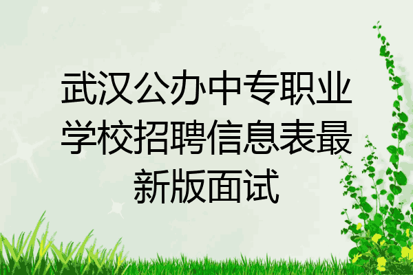 武汉公办中专职业学校招聘信息表最新版面试