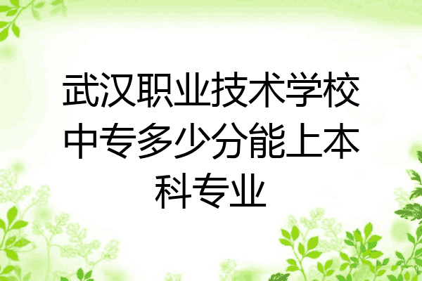 武汉职业技术学校中专多少分能上本科专业