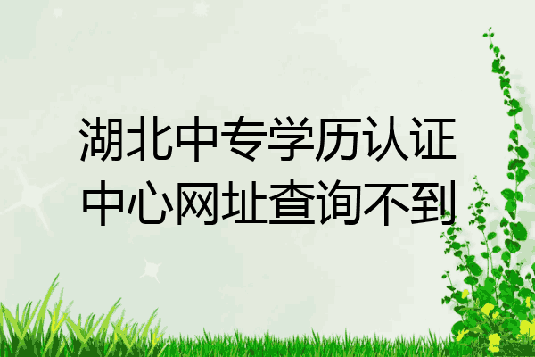 湖北中专学历认证中心网址查询不到