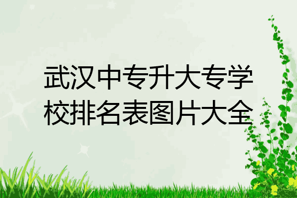 武汉中专升大专学校排名表图片大全
