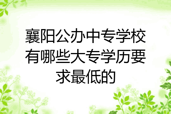 襄阳公办中专学校有哪些大专学历要求最低的