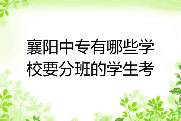 襄阳中专有哪些学校要分班的学生考