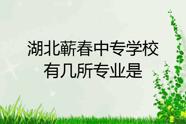 湖北蕲春中专学校有几所专业是
