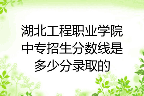 湖北工程职业学院中专招生分数线是多少分录取的