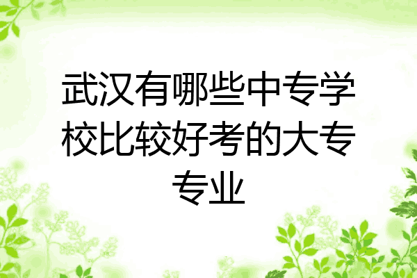 武汉有哪些中专学校比较好考的大专专业