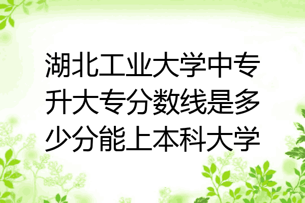 湖北工业大学中专升大专分数线是多少分能上本科大学