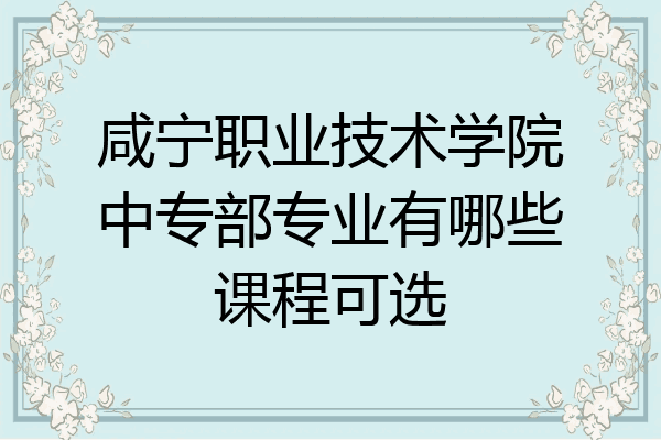 咸宁职业技术学院中专部专业有哪些课程可选