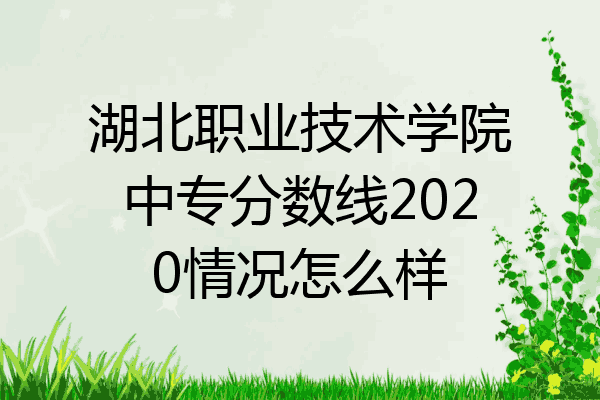 湖北职业技术学院中专分数线2020情况怎么样