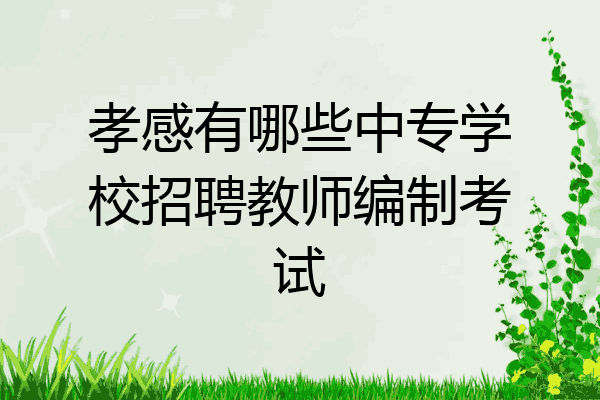 孝感有哪些中专学校招聘教师编制考试