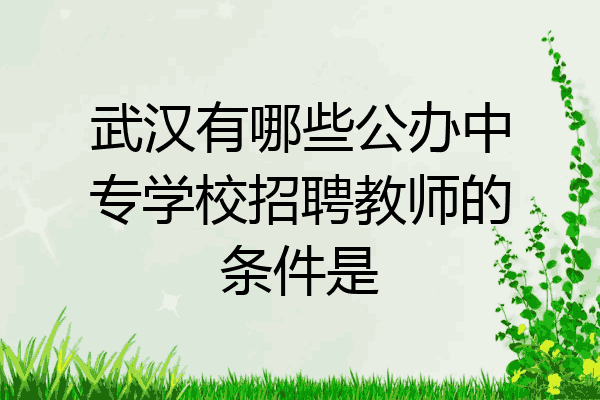 武汉有哪些公办中专学校招聘教师的条件是