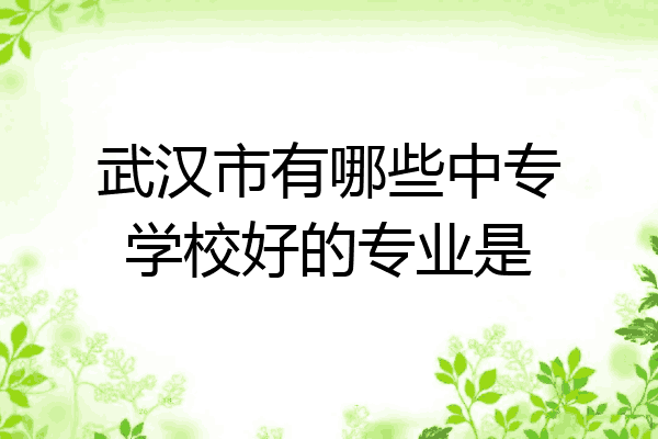 武汉市有哪些中专学校好的专业是
