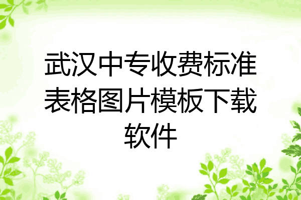 武汉中专收费标准表格图片模板下载软件