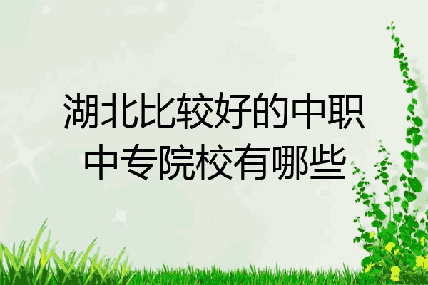 湖北比较好的中职中专院校有哪些