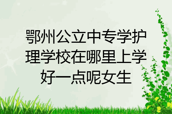 鄂州公立中专学护理学校在哪里上学好一点呢女生