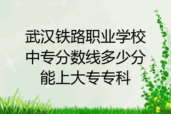 武汉铁路职业学校中专分数线多少分能上大专专科
