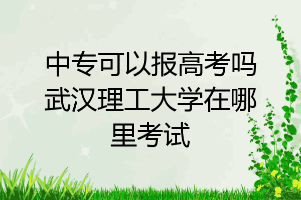 中专可以报高考吗武汉理工大学在哪里考试