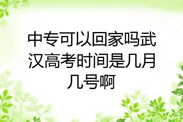 中专可以回家吗武汉高考时间是几月几号啊