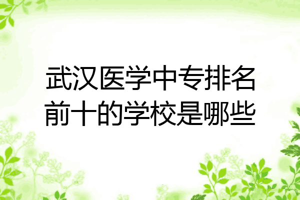 武汉医学中专排名前十的学校是哪些