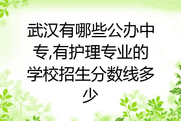 武汉有哪些公办中专,有护理专业的学校招生分数线多少