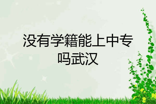 没有学籍能上中专吗武汉
