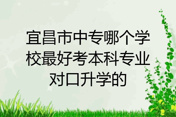宜昌市中专哪个学校最好考本科专业对口升学的