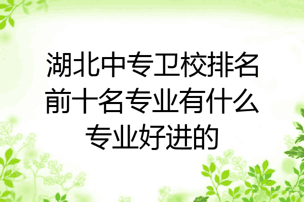 湖北中专卫校排名前十名专业有什么专业好进的