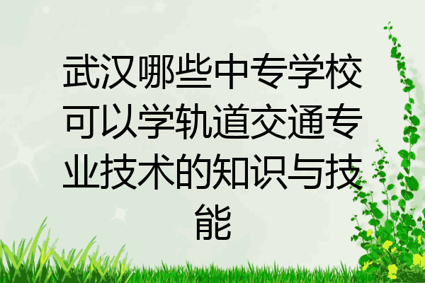 武汉哪些中专学校可以学轨道交通专业技术的知识与技能