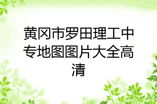 黄冈市罗田理工中专地图图片大全高清