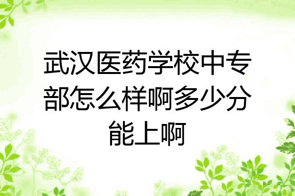武汉医药学校中专部怎么样啊多少分能上啊