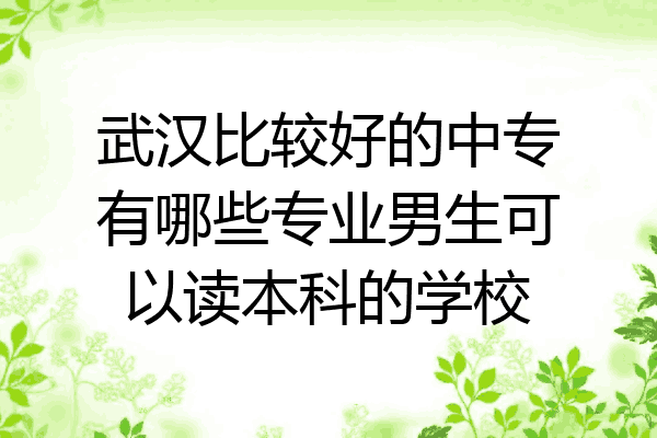 武汉比较好的中专有哪些专业男生可以读本科的学校