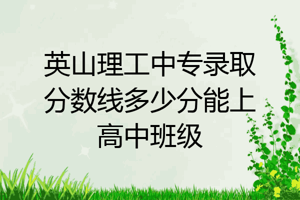 英山理工中专录取分数线多少分能上高中班级