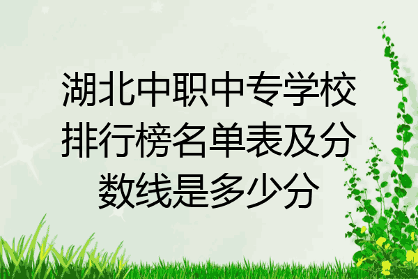 湖北中职中专学校排行榜名单表及分数线是多少分