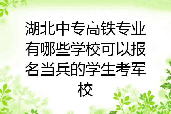 湖北中专高铁专业有哪些学校可以报名当兵的学生考军校