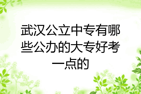 武汉公立中专有哪些公办的大专好考一点的