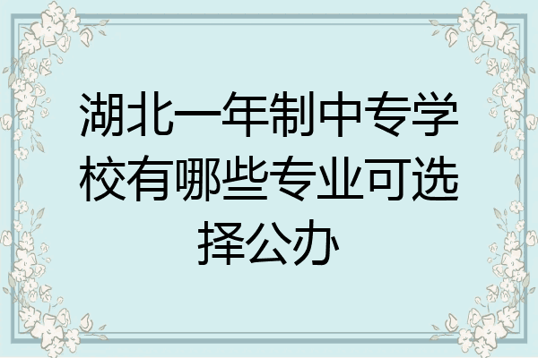 湖北一年制中专学校有哪些专业可选择公办