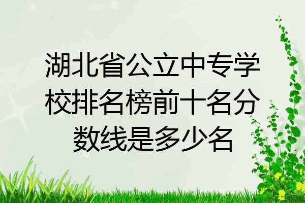 湖北省公立中专学校排名榜前十名分数线是多少名