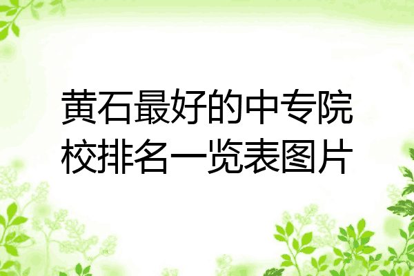 黄石最好的中专院校排名一览表图片