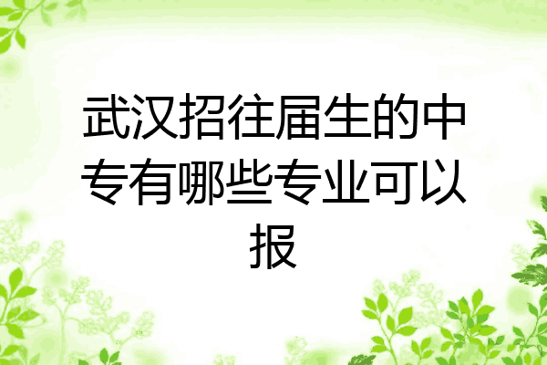 武汉招往届生的中专有哪些专业可以报