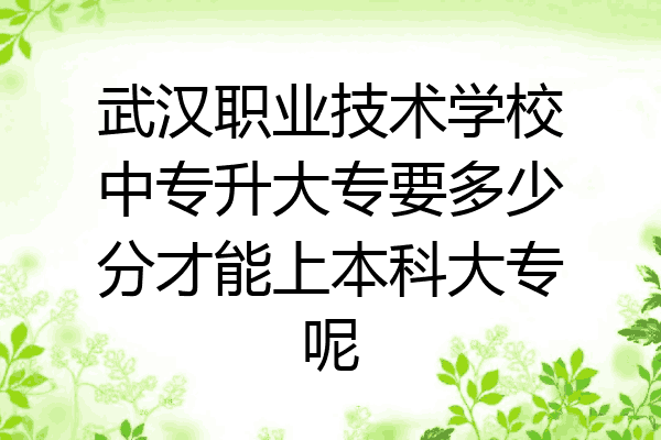 武汉职业技术学校中专升大专要多少分才能上本科大专呢