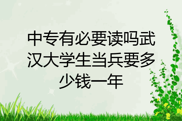 中专有必要读吗武汉大学生当兵要多少钱一年