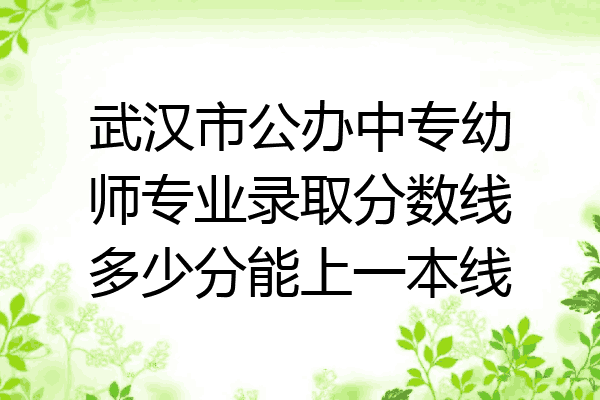 武汉市公办中专幼师专业录取分数线多少分能上一本线
